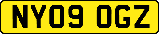 NY09OGZ