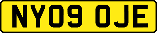 NY09OJE