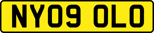 NY09OLO