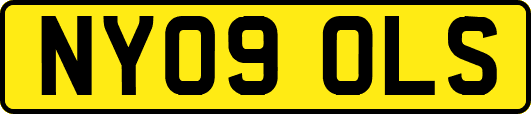 NY09OLS