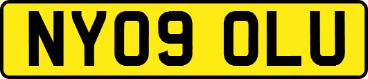 NY09OLU