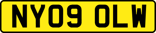 NY09OLW