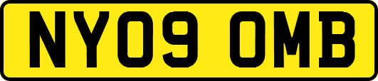 NY09OMB