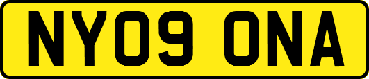 NY09ONA