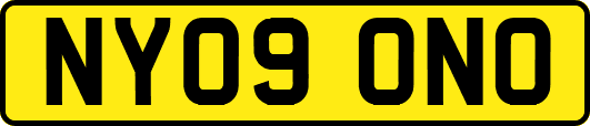 NY09ONO