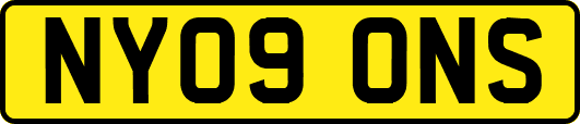 NY09ONS