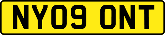 NY09ONT