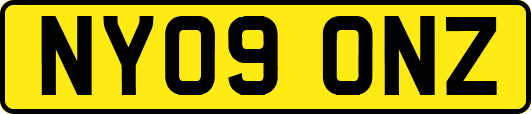 NY09ONZ