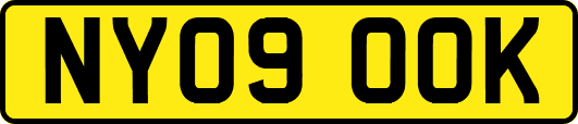 NY09OOK