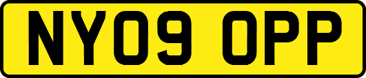 NY09OPP
