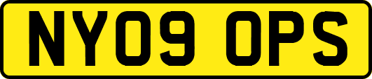 NY09OPS
