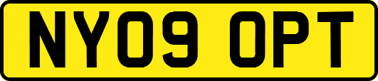 NY09OPT