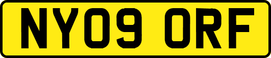 NY09ORF