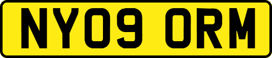 NY09ORM