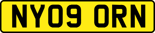 NY09ORN