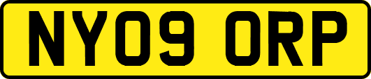 NY09ORP