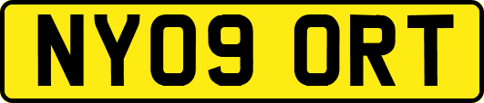 NY09ORT