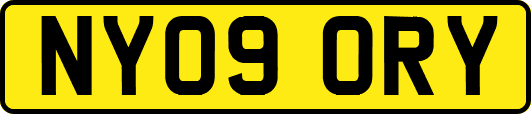NY09ORY