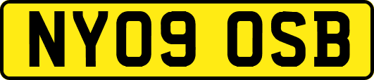 NY09OSB