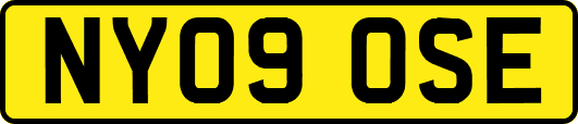 NY09OSE