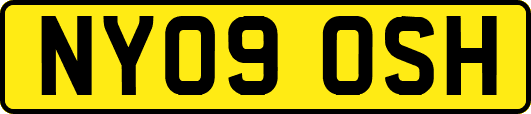 NY09OSH
