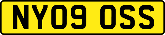 NY09OSS