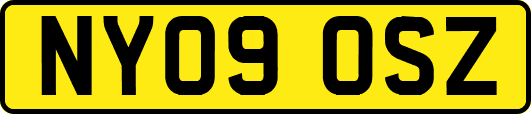 NY09OSZ