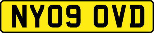 NY09OVD