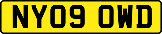 NY09OWD