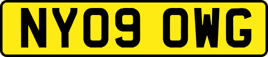 NY09OWG