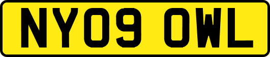 NY09OWL