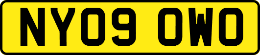 NY09OWO