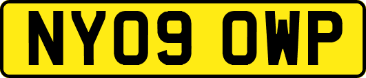 NY09OWP