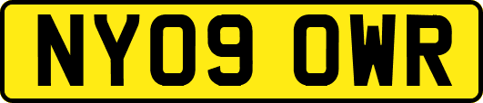 NY09OWR