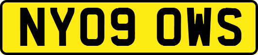 NY09OWS