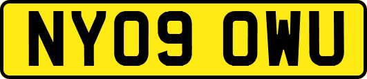 NY09OWU