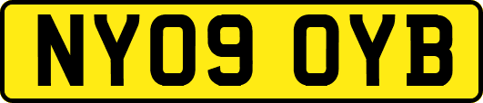 NY09OYB