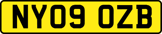 NY09OZB