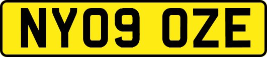 NY09OZE