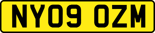NY09OZM