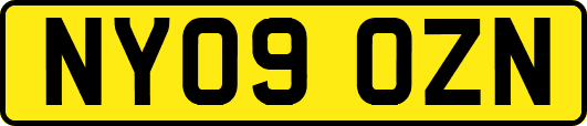 NY09OZN