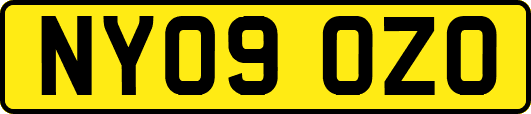 NY09OZO