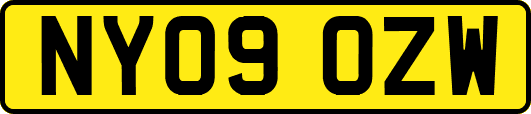 NY09OZW