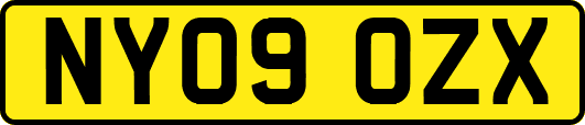NY09OZX