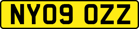 NY09OZZ