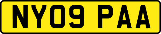 NY09PAA