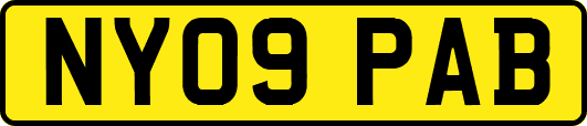 NY09PAB