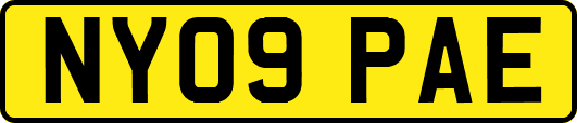 NY09PAE