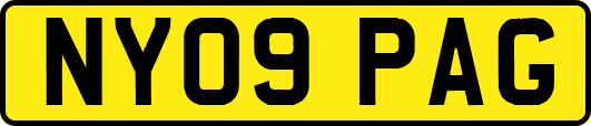 NY09PAG