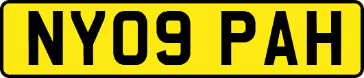 NY09PAH